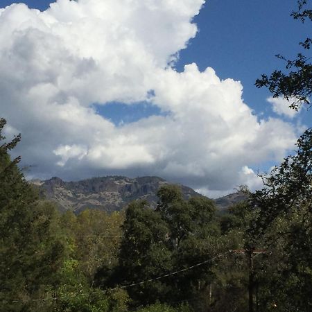 Foothill House Bed & Breakfast Calistoga Luaran gambar