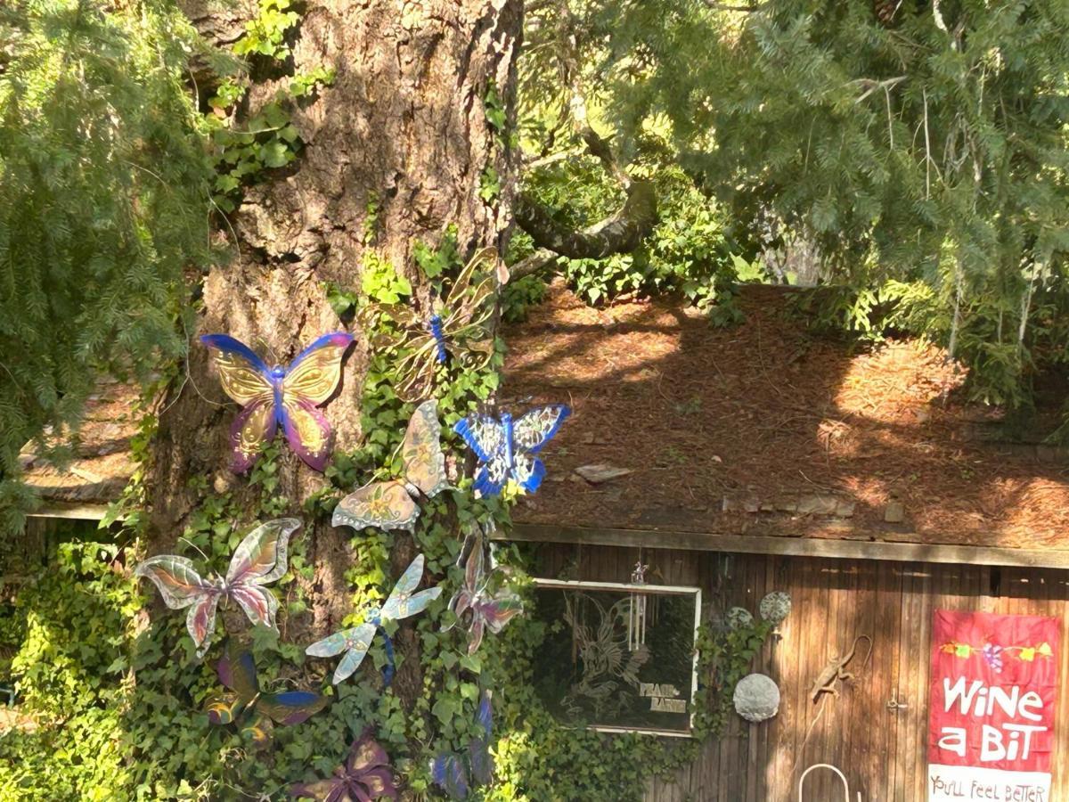 Foothill House Bed & Breakfast Calistoga Luaran gambar
