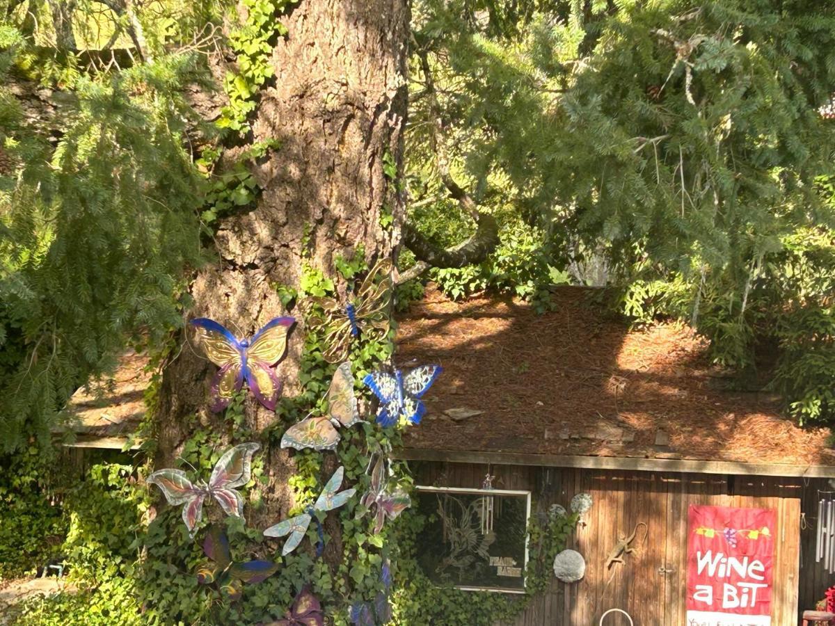 Foothill House Bed & Breakfast Calistoga Luaran gambar